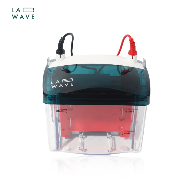 Mini Protein Transfer Cell