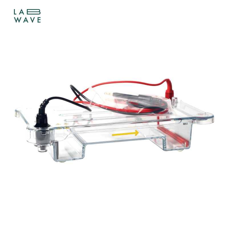 Medium Horizontal Electrophoresis Cell